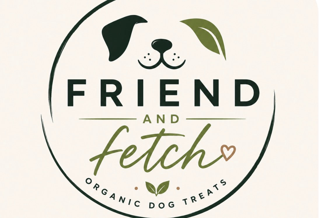 Friend & Fetch